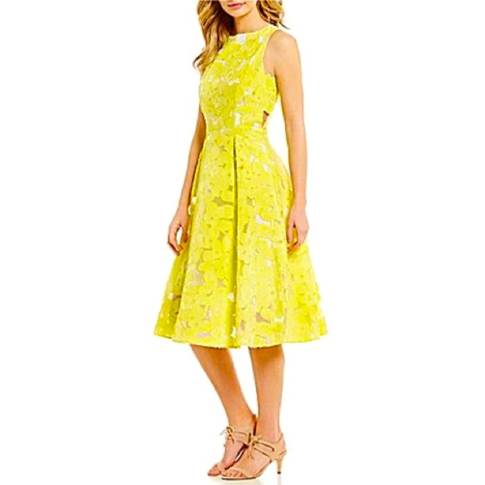 Antonio Melani Leta Organza Jacquard lace midi dress